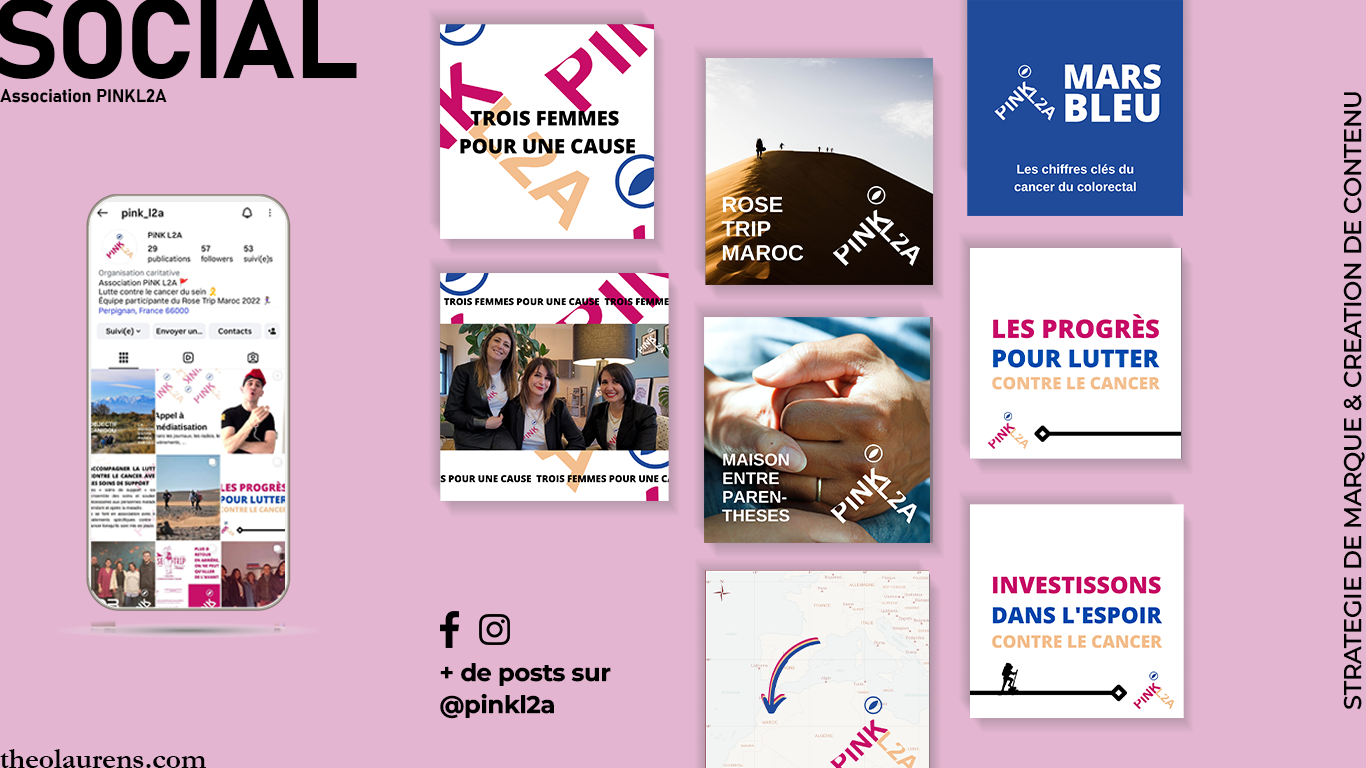portfolio theo laurens pink l2a