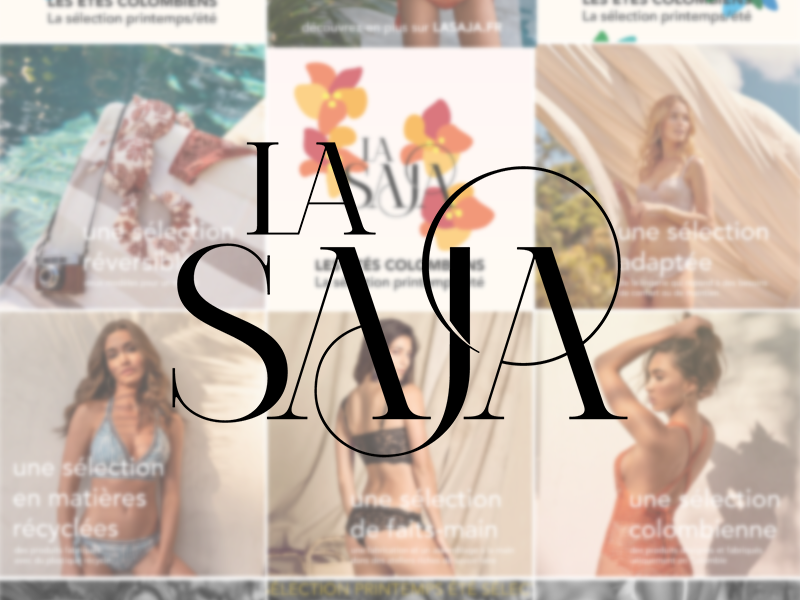 cover theolaurens.com projet la saja